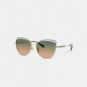 Coach Bandit Wire Oval Sunglasses Brillen Damen Grün Gelb | ZVSAI-0418