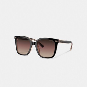 Coach Beveled Signature Oversized Square Sunglasses Brillen Damen Schwarz Rosa | DSZIK-8473
