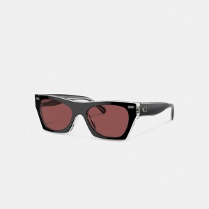 Coach Beveled Signature Square Sunglasses Brillen Damen Schwarz | HNCWP-5731