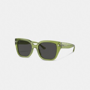 Coach Charms Oversized Square Sunglasses Brillen Damen Grün | TUYGL-4785