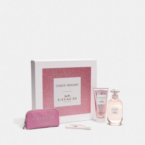Coach Dreams Eau De Parfum 4 Piece Gift Set Fragrance Damen Mehrfarbig | SMPUL-8657