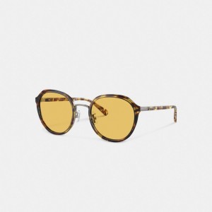 Coach Hangtag Geometric Round Sunglasses Brillen Damen Orange | KMVON-3524