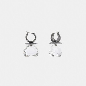 Coach Heart Gemstone Earrings Schmuck Damen Silber | YFEBZ-1350
