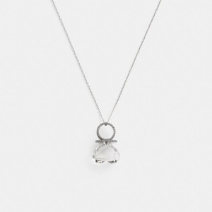 Coach Heart Gemstone Ring Pendant Necklace Schmuck Damen Silber | ZXUHY-6492