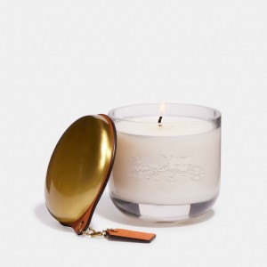 Coach Holiday Candle Reisetasche Damen Mehrfarbig | GJNQX-6859