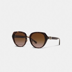 Coach Horse And Carriage Oversized Round Sunglasses Brillen Damen Mehrfarbig | PTKXV-3460