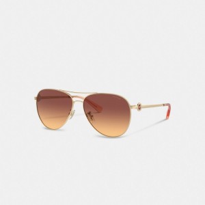 Coach Metal Aviator Sunglasses Brillen Damen Dunkelbraun | FPUAQ-2198