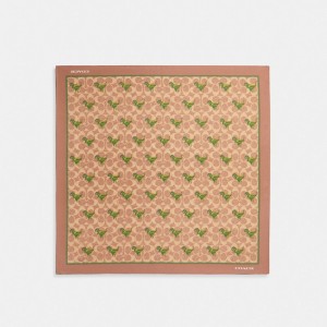 Coach Rexy Print Silk Bandana Hüte Damen Khaki | KWATP-4092