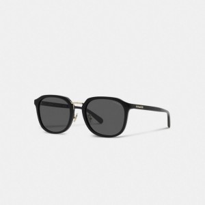 Coach Rounded Geometric Sunglasses Sonnenbrille Herren Schwarz | GHFOA-5479