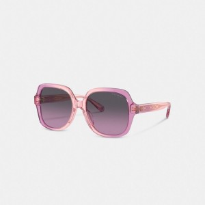 Coach Signature Ombre Oversized Square Sunglasses Brillen Damen Rosa Lila | VUOMH-9573