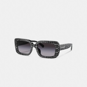 Coach Signature Oversized Rectangle Sunglasses Brillen Damen Silber | VGYWC-0987
