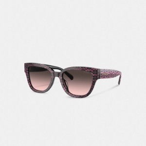 Coach Signature Round Sunglasses Brillen Damen Mehrfarbig | XAWHV-3908