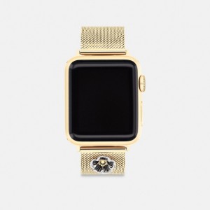 Coach Strap, 38 Mm, 40 Mm And 41 Mm Uhren Herren Gold | UWKBY-8417